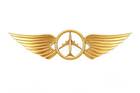 Pilot